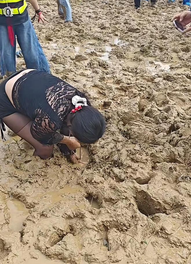 鼎点平台注册:蚌埠龙湖音乐节满地泥巴还爬出甲鱼,游客成“兵马俑”自嘲来插秧,场地方:一直下雨